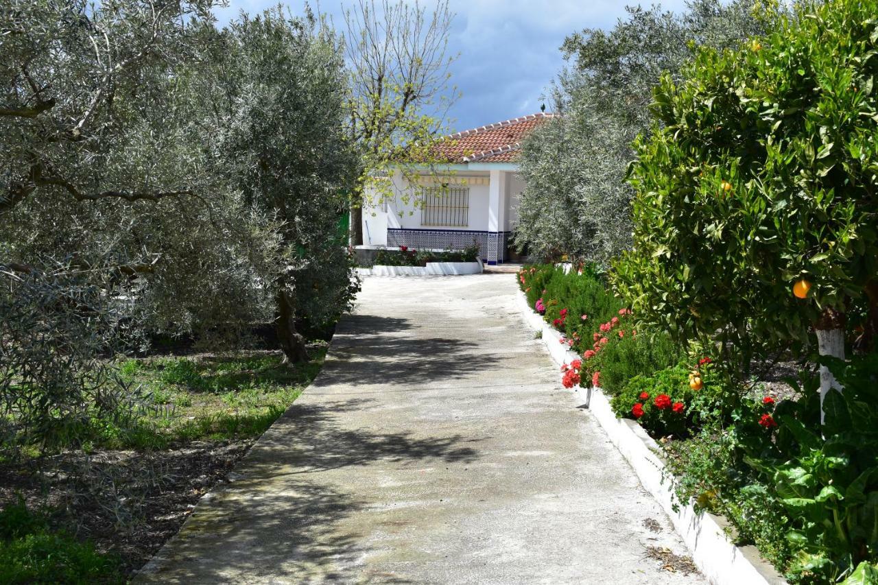Casa Rural Alejo Малага Екстериор снимка